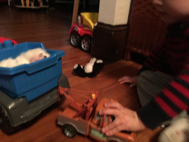 2015-06-01 19.21.12.jpg