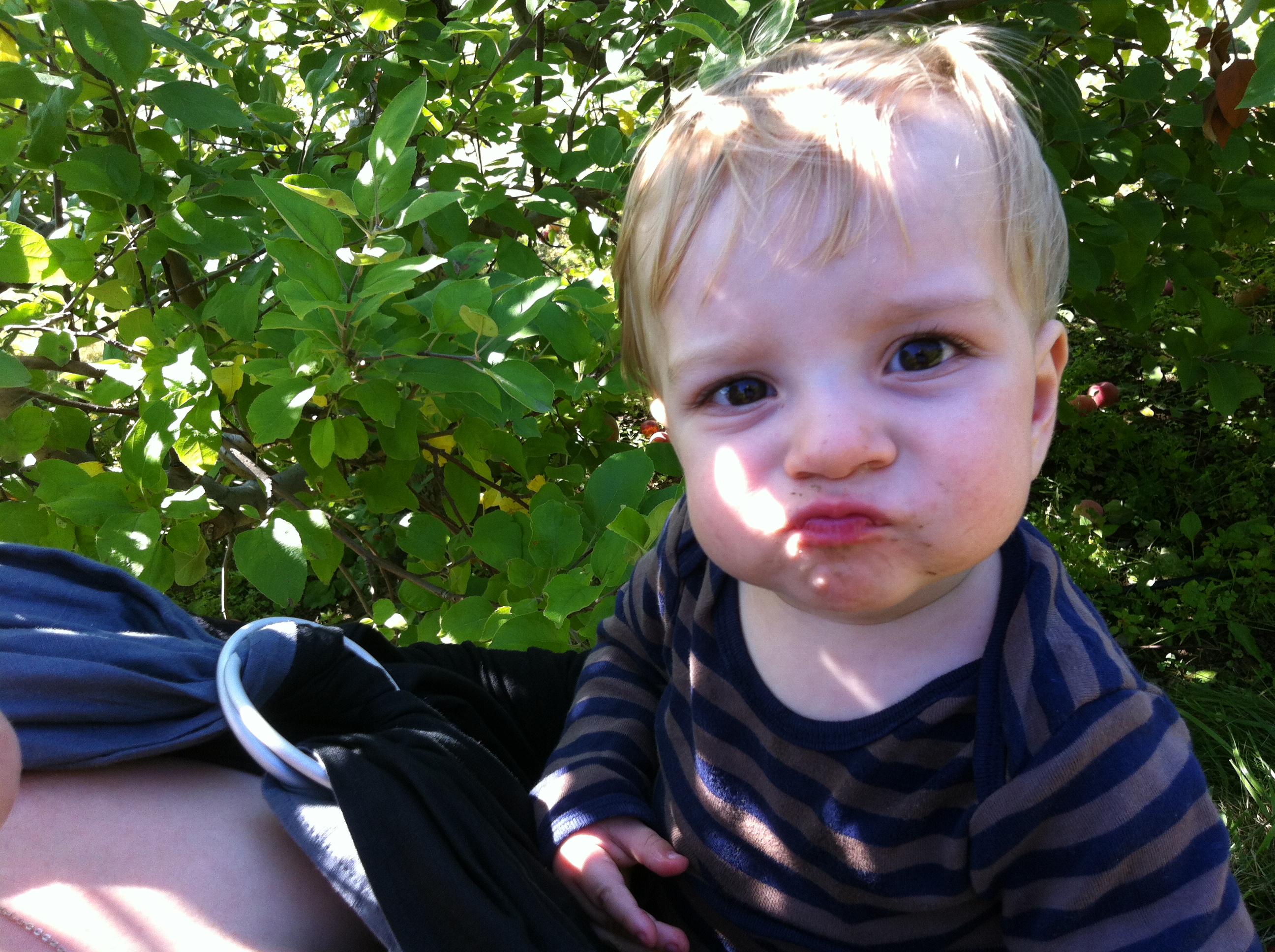 2012-09-22 14.07.35.jpg