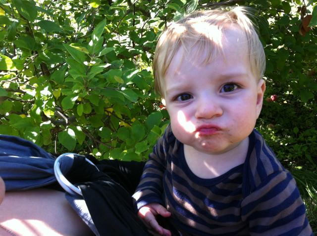 2012-09-22 14.07.35.jpg