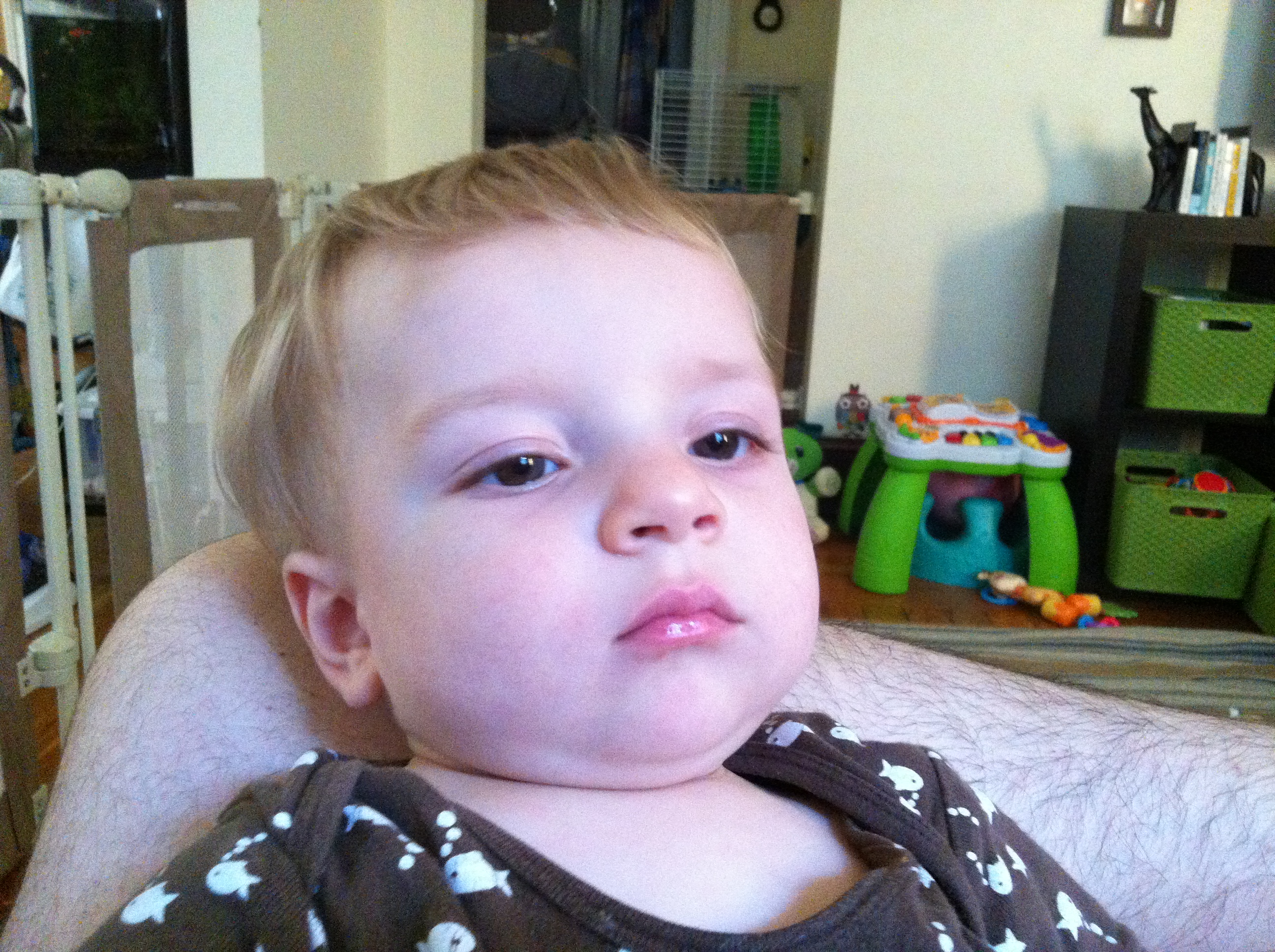 2012-08-06 07.42.41.jpg