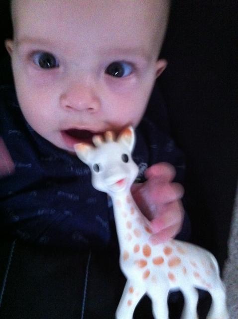 2014-07-02 08.23.56.jpg