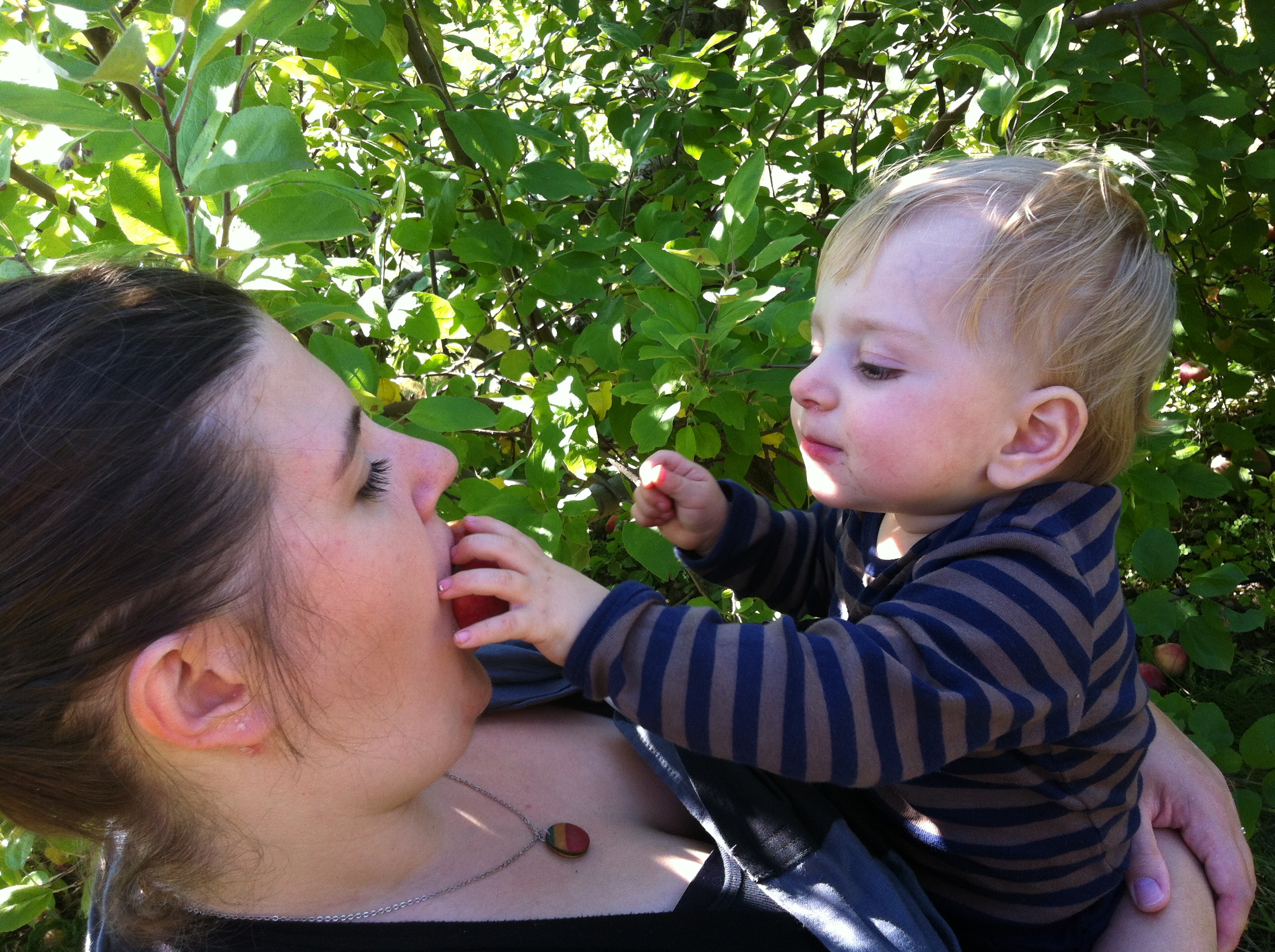 2012-09-22 14.06.55.jpg