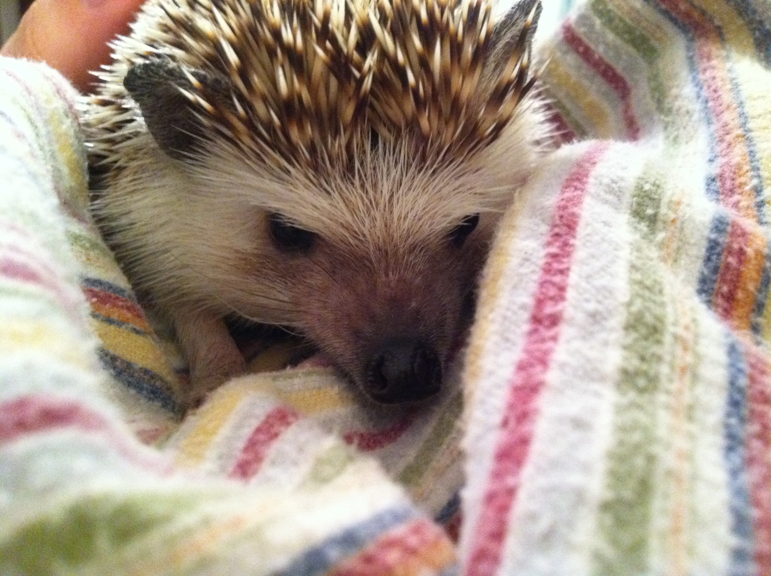 2011-05-22 21.35.13.jpg