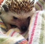 2011-05-22 21.35.13.jpg