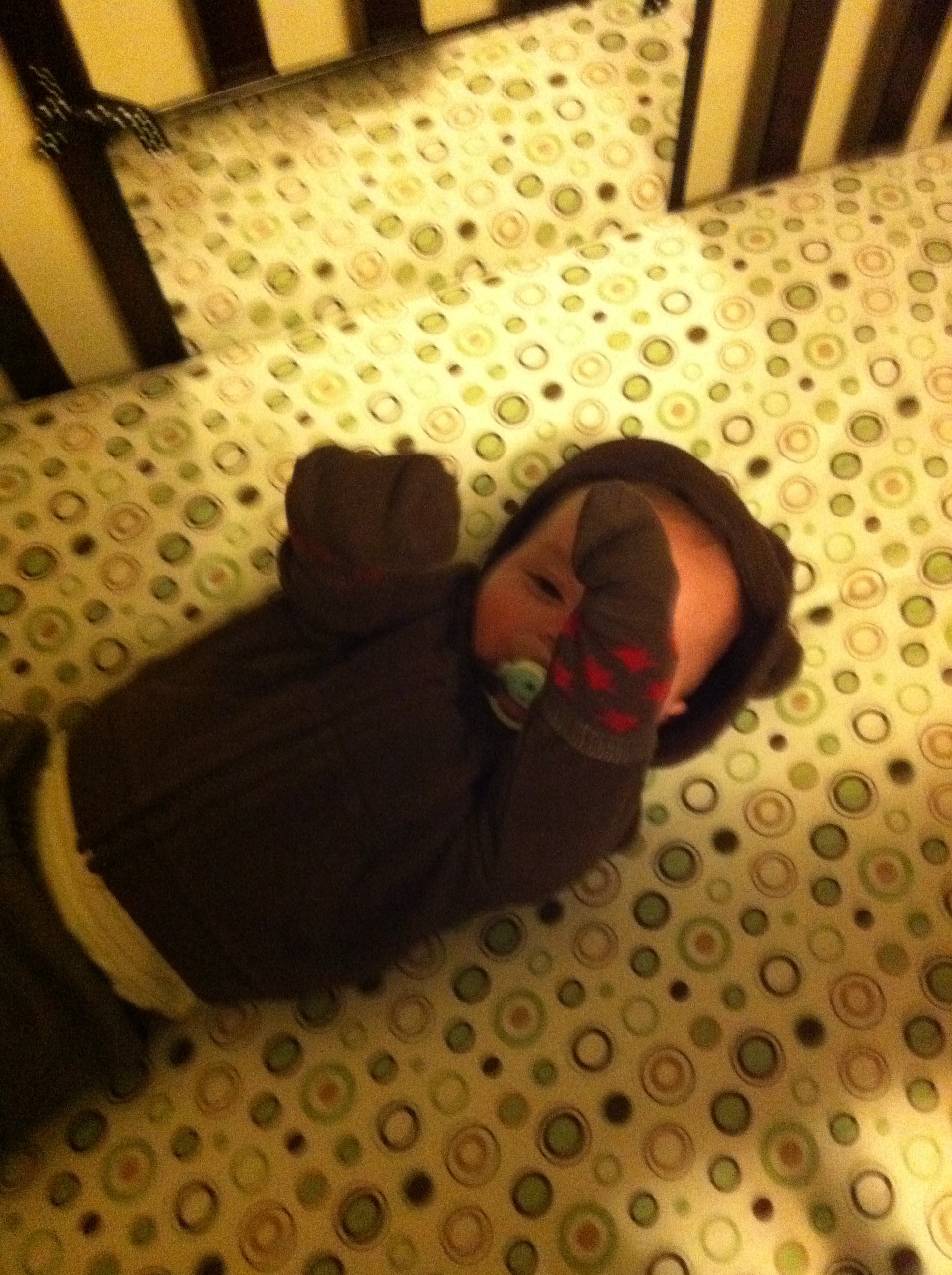 2012-01-20 19.10.36.jpg