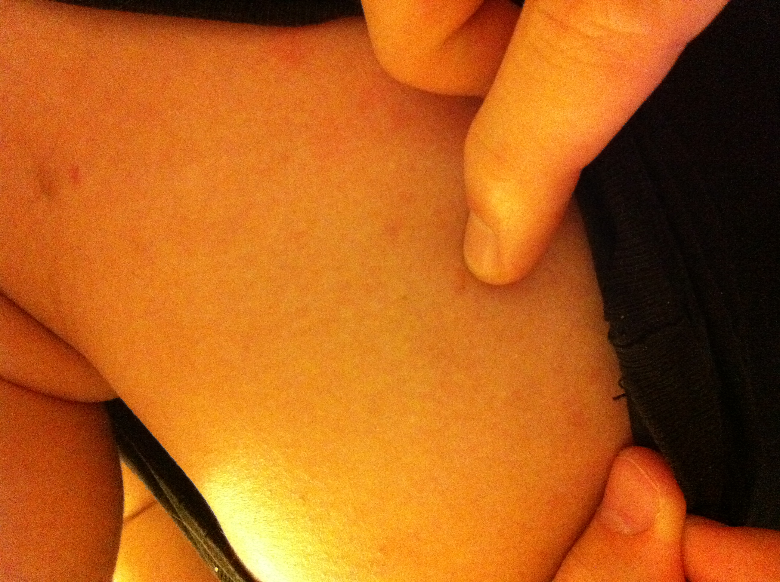 2011-12-02 20.18.23.jpg