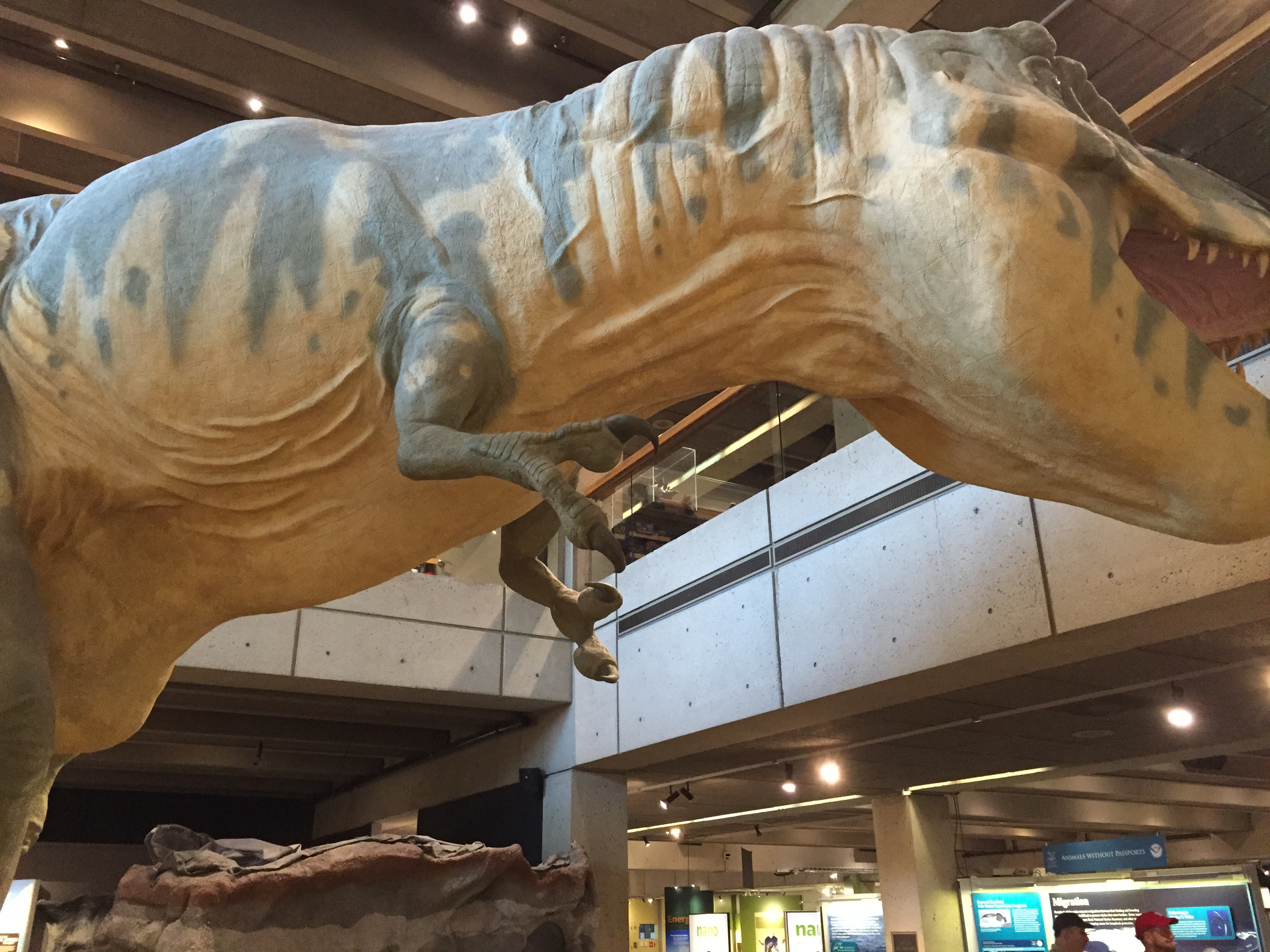 2015-06-07 09.40.48.jpg