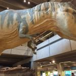 2015-06-07 09.40.48.jpg