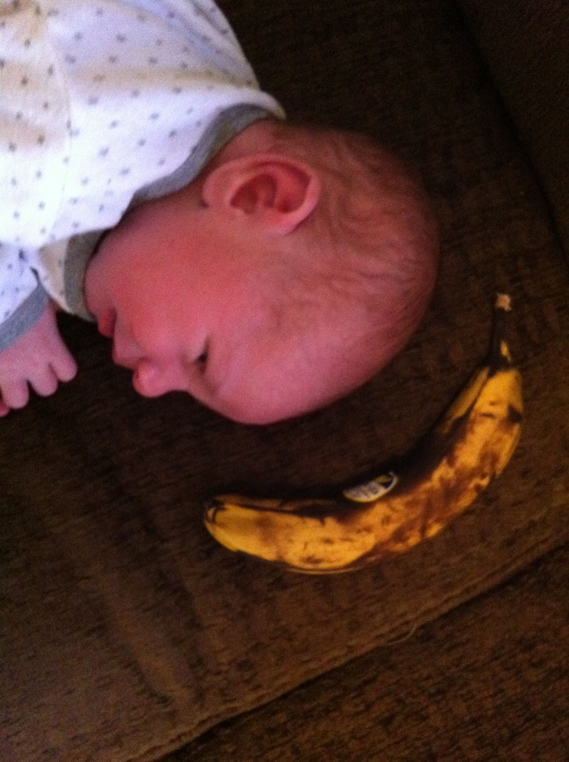 2014-02-02 08.51.48.jpg