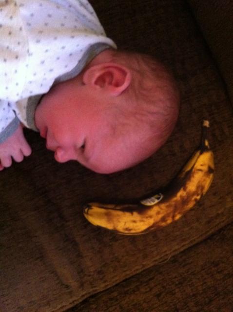 2014-02-02 08.51.48.jpg