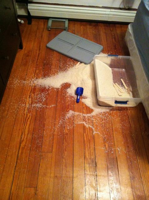 2014-10-25 18.47.19.jpg