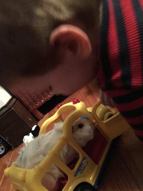 2015-06-01 19.19.34.jpg