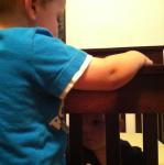 2014-07-19 09.31.48.jpg