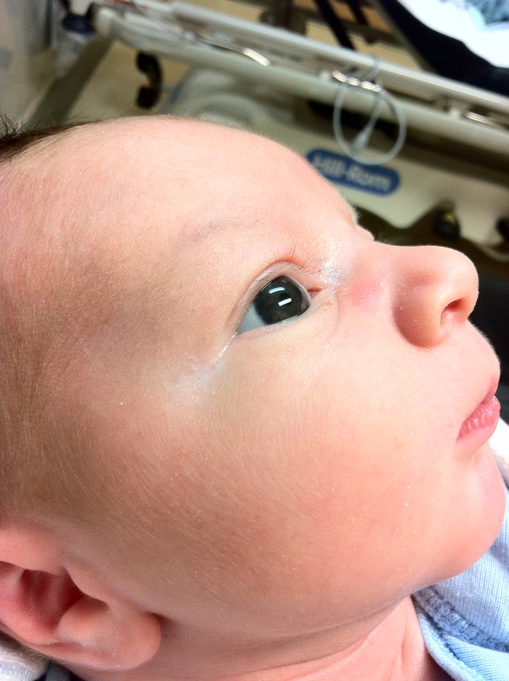 2011-09-24 03.48.53.jpg