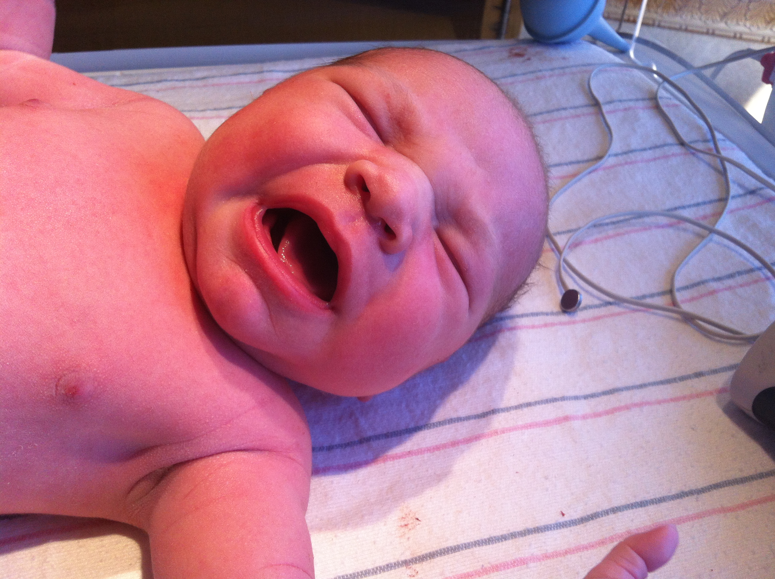 2014-01-24 11.30.30.jpg