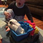 2015-06-02 19.57.38.jpg