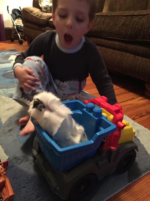 2015-06-02 19.57.38.jpg