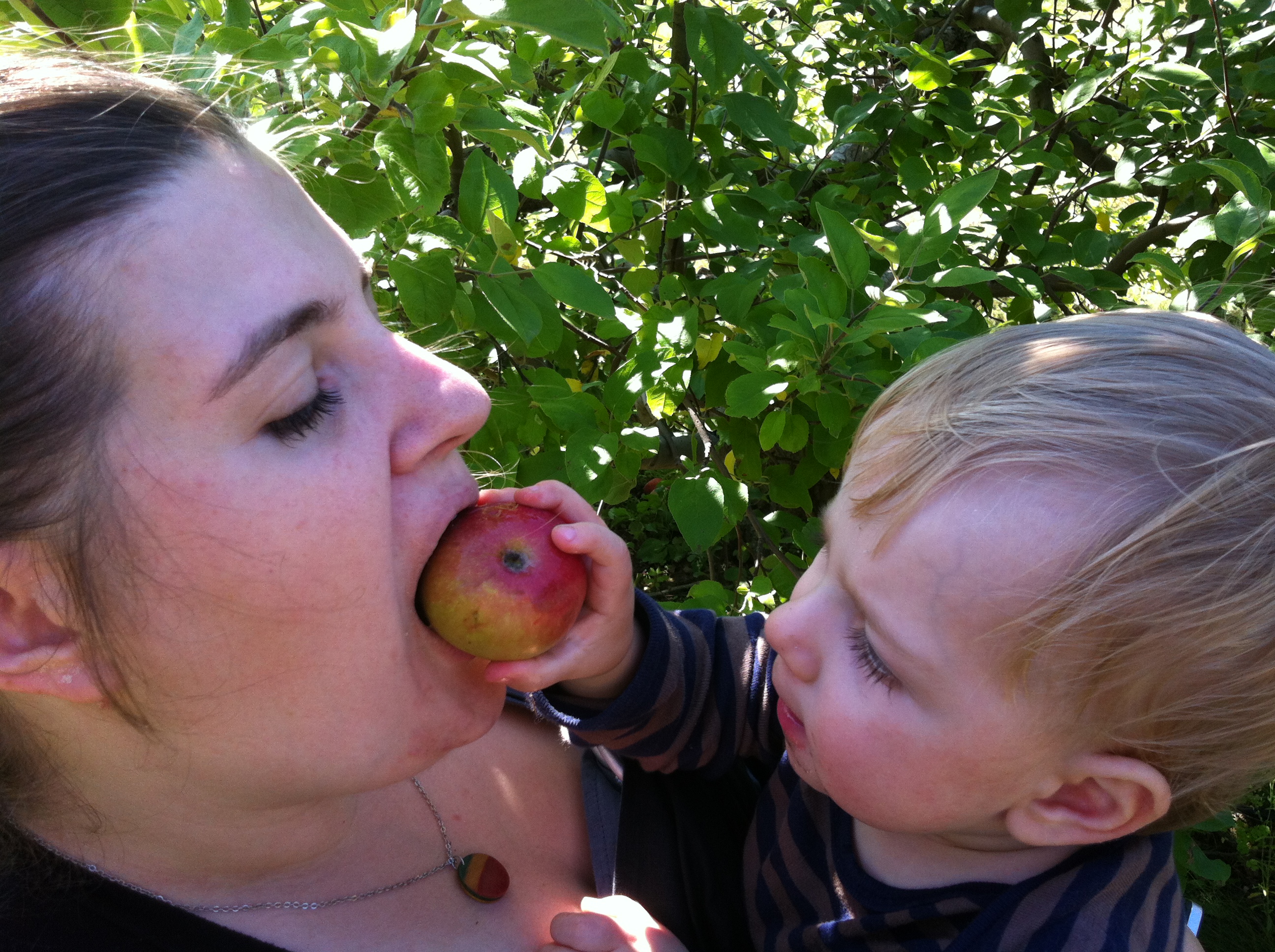 2012-09-22 14.06.48.jpg