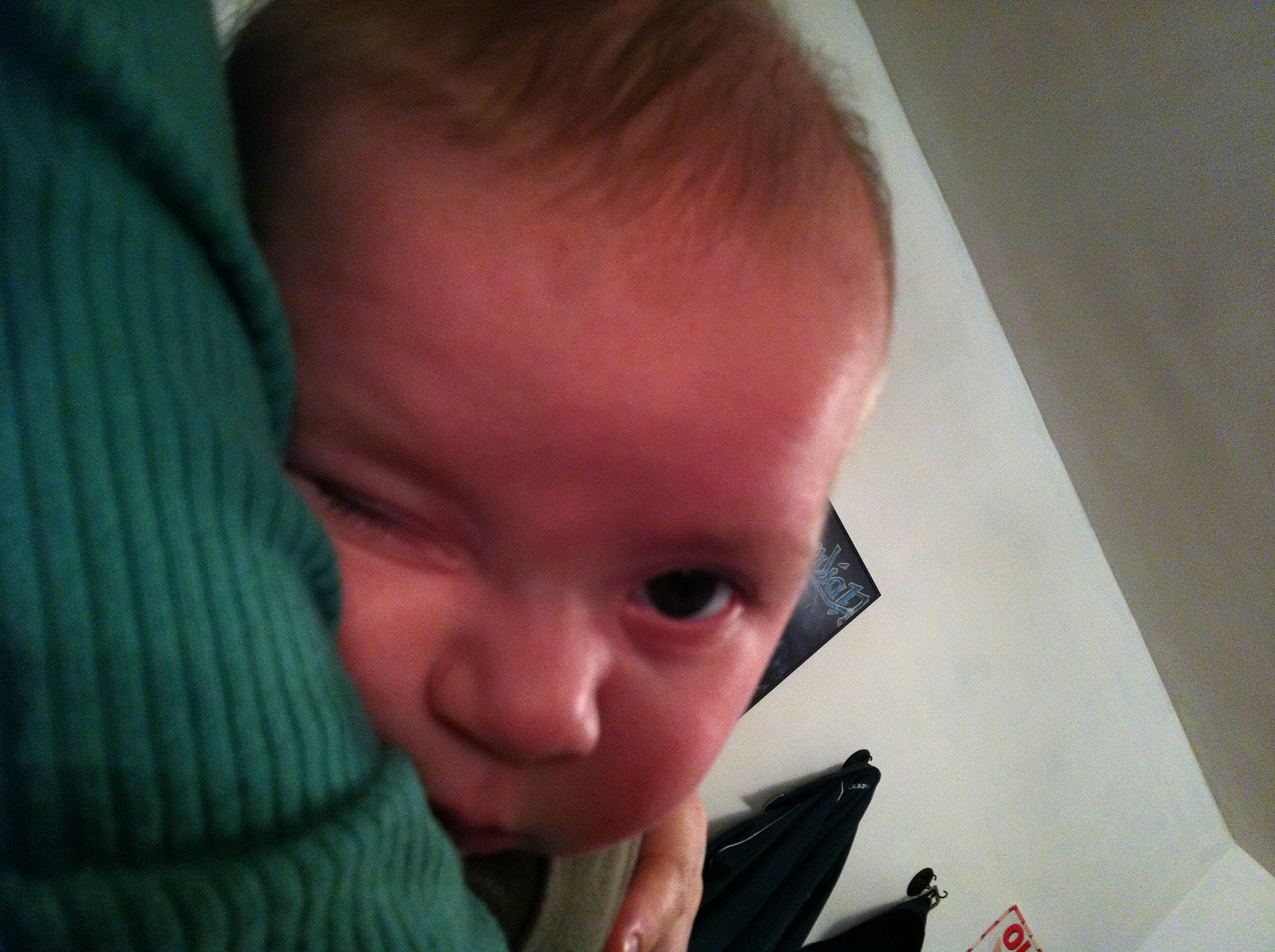 2012-01-09 20.01.07.jpg