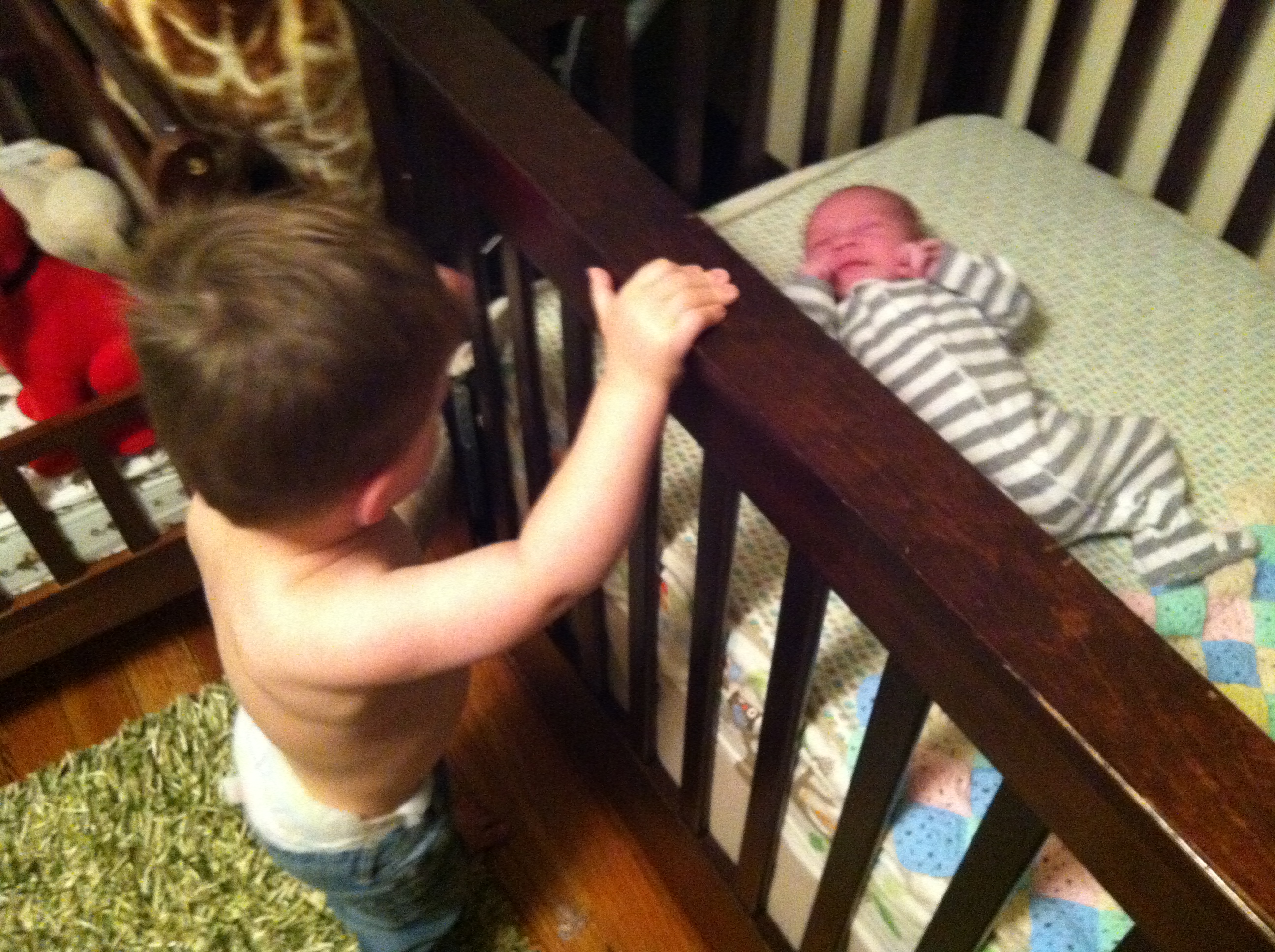 2014-02-11 09.38.19.jpg