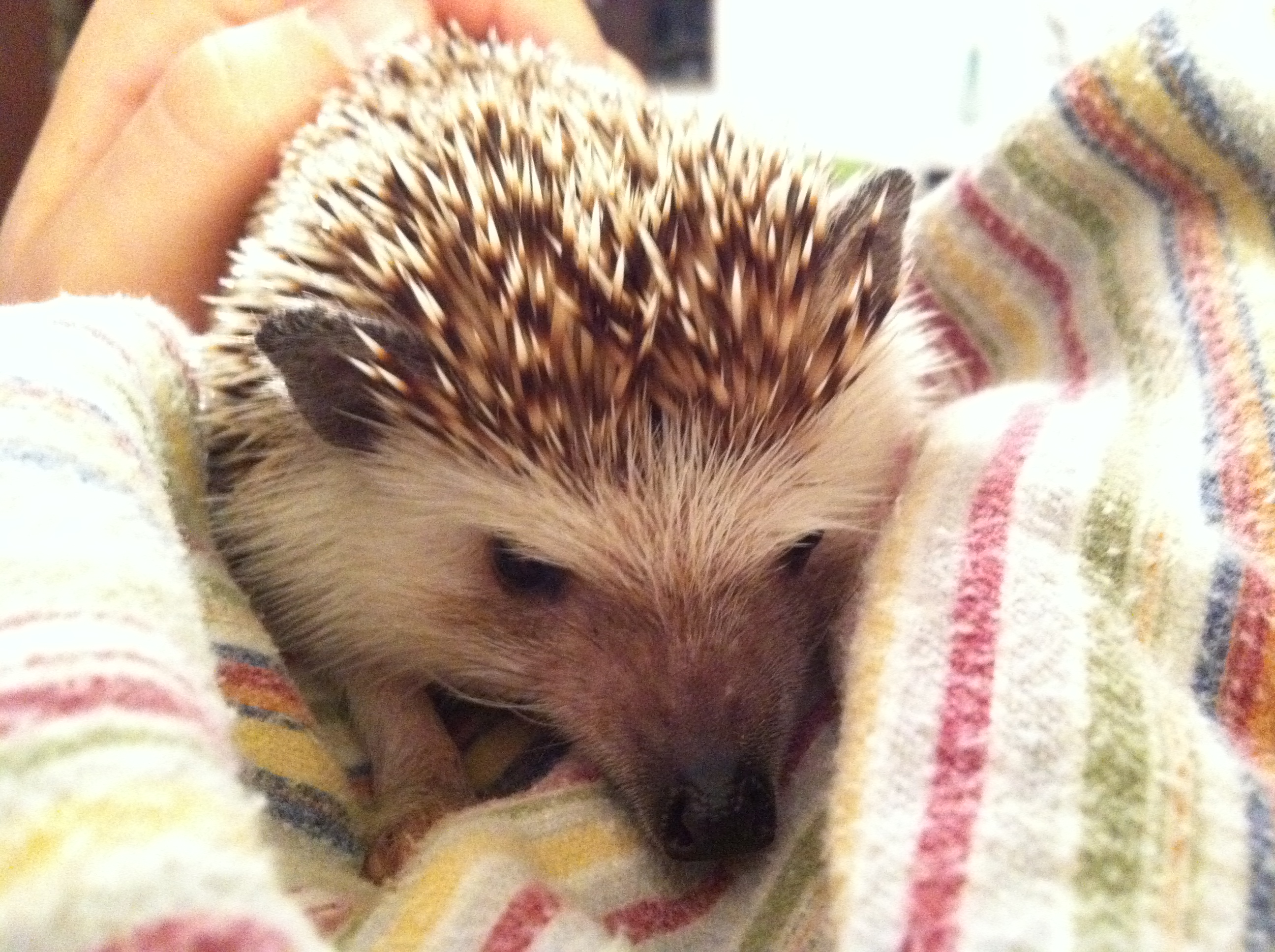 2011-05-22 21.35.02.jpg