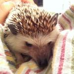 2011-05-22 21.35.02.jpg