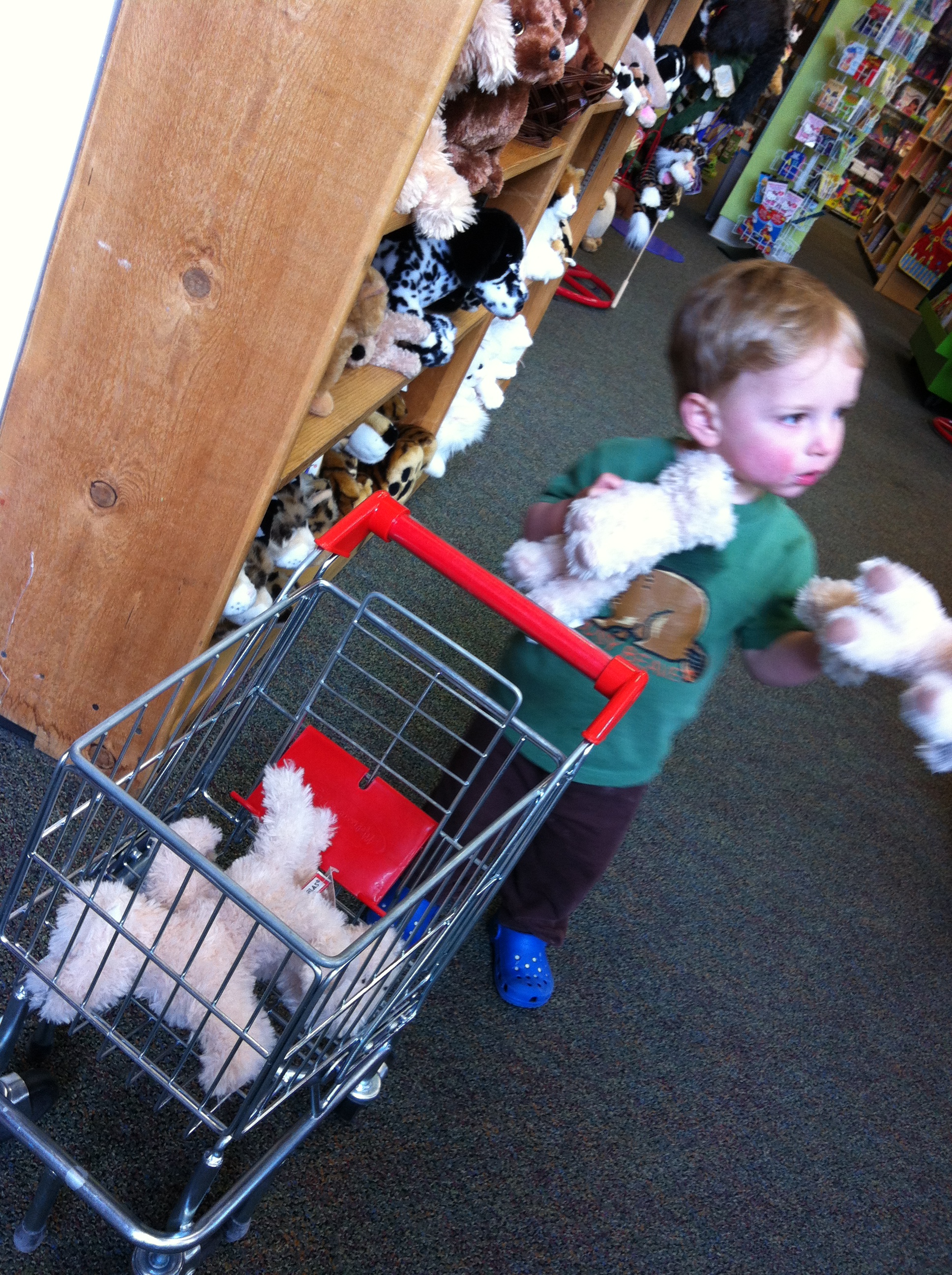 2013-05-19 12.50.35.jpg