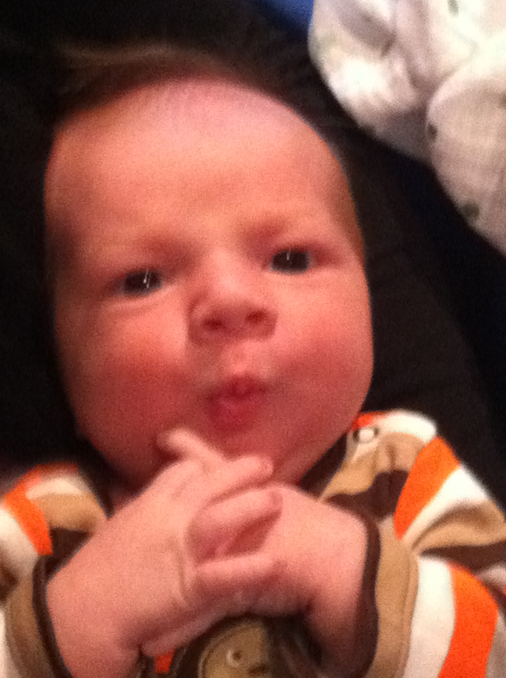 2011-10-01 15.06.14.jpg