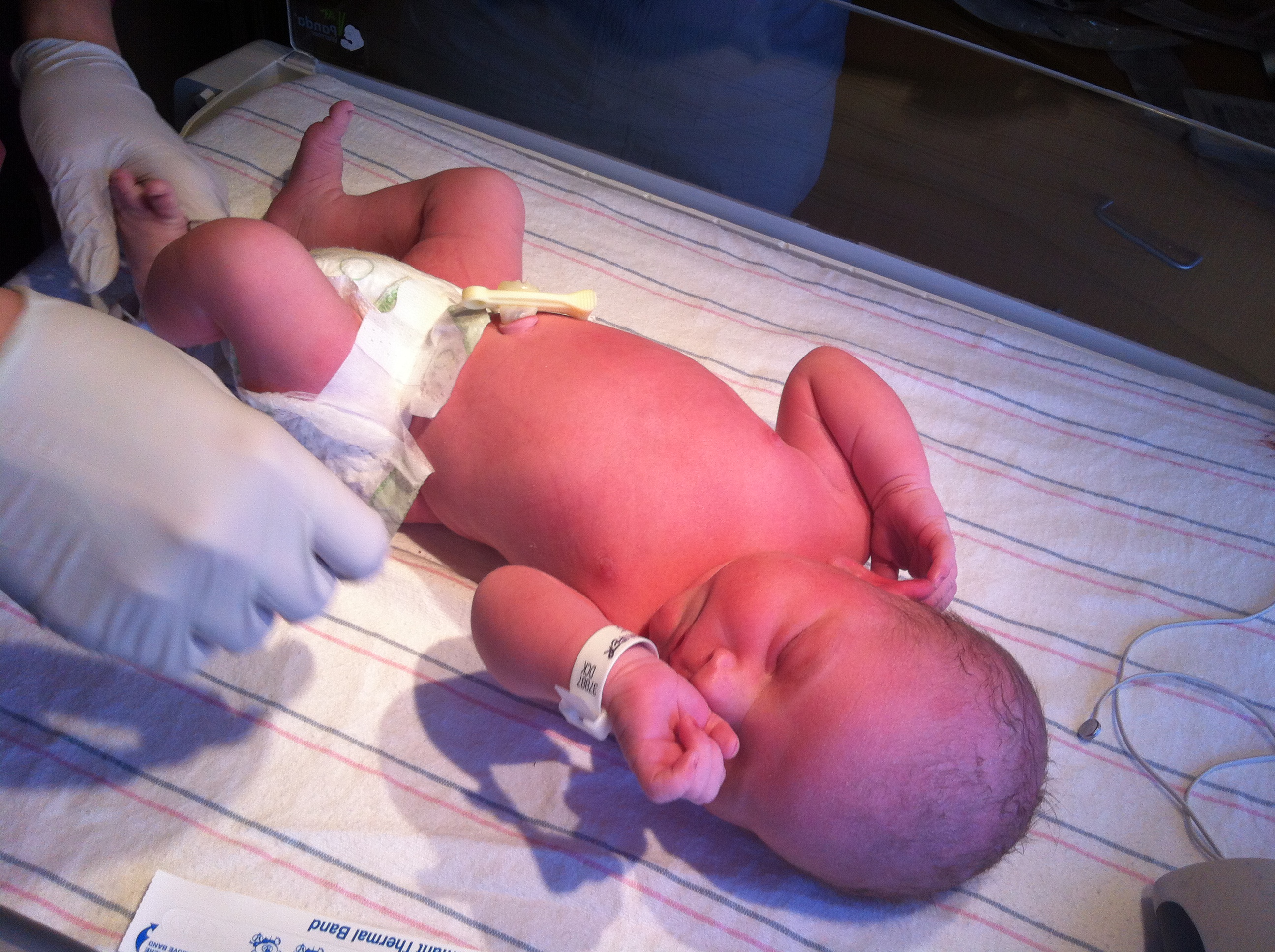 2014-01-24 11.29.25.jpg