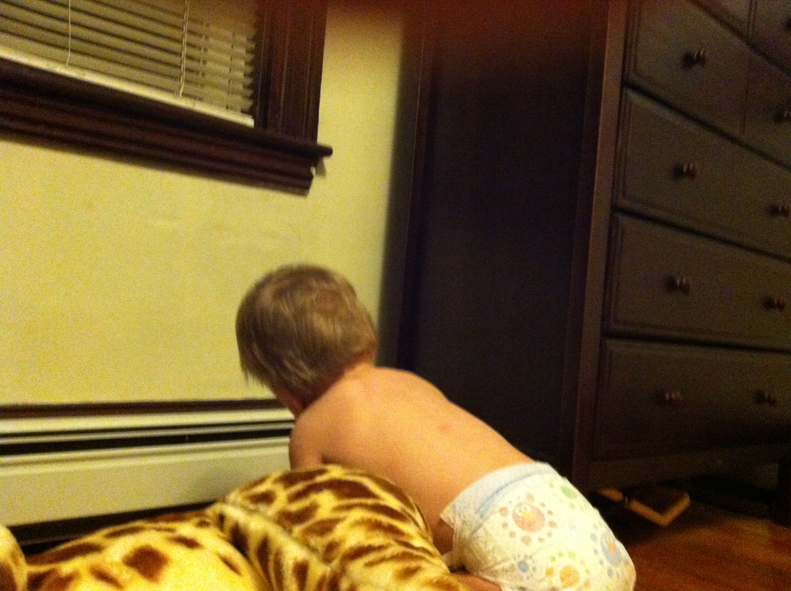 2012-10-25 18.44.56.jpg