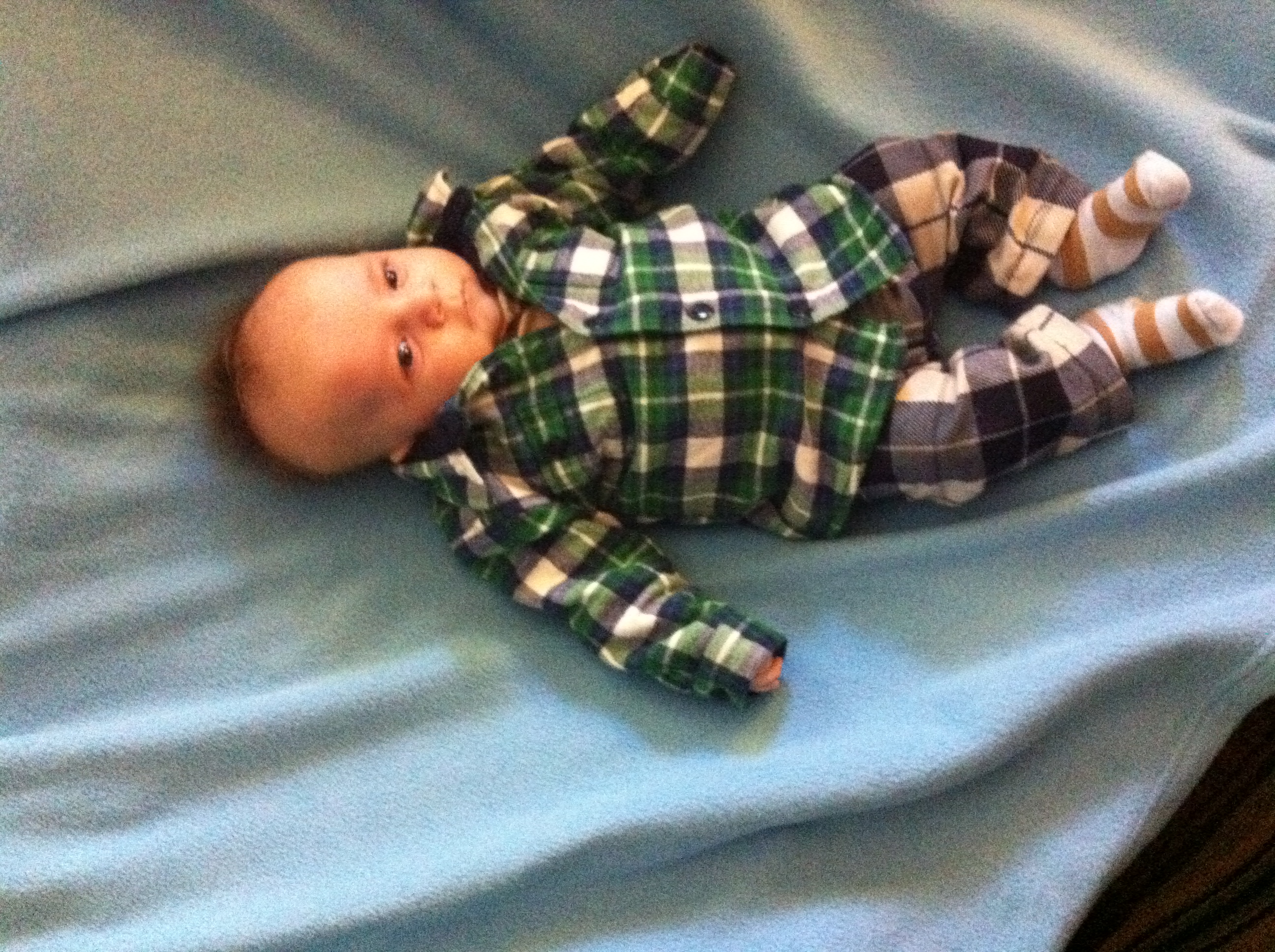 2011-11-12 07.51.37.jpg