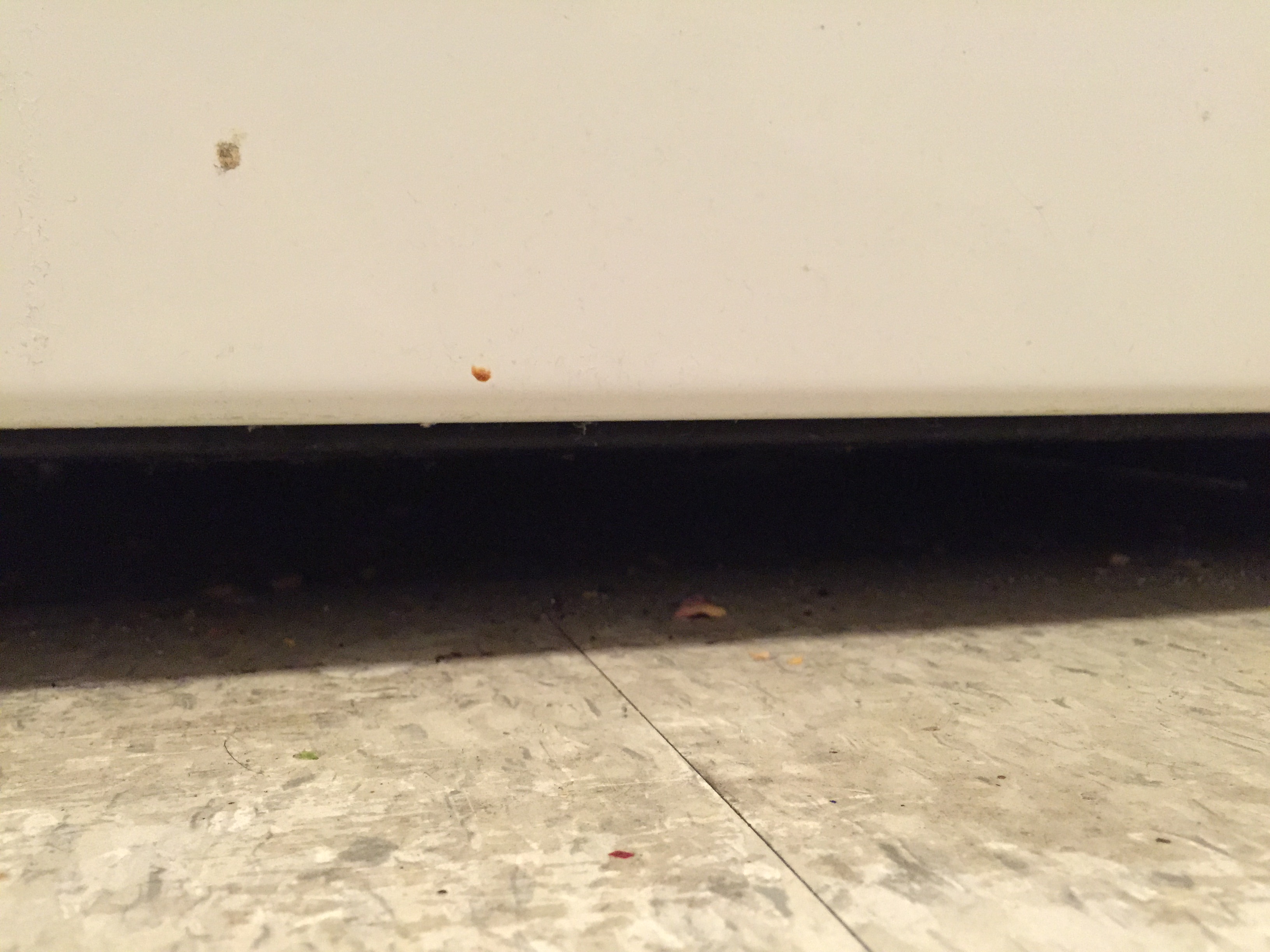 2015-03-11 23.05.04.jpg