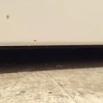 2015-03-11 23.05.04.jpg