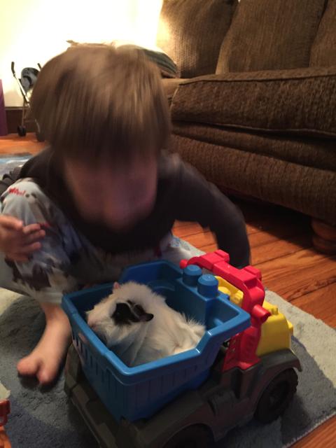 2015-06-02 19.57.34.jpg