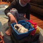 2015-06-02 19.57.16.jpg