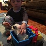 2015-06-02 19.57.50.jpg