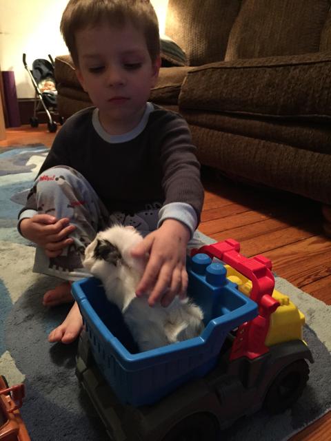 2015-06-02 19.57.50.jpg