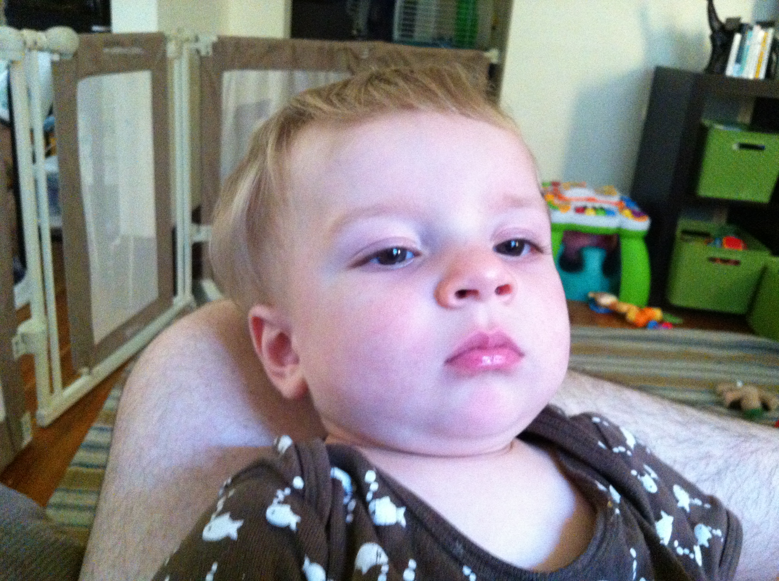 2012-08-06 07.42.00.jpg