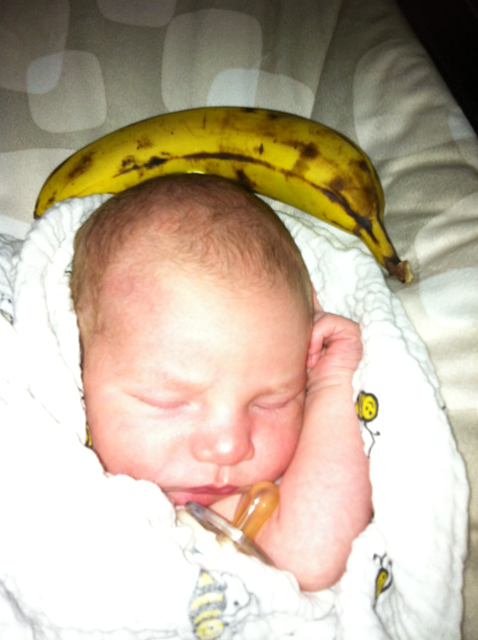 2014-01-29 13.04.37.jpg