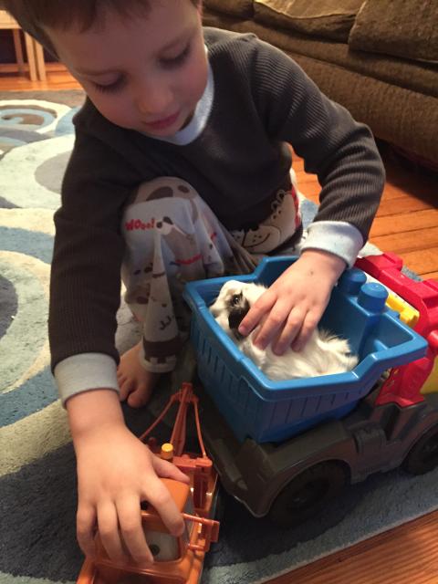 2015-06-02 19.57.00.jpg