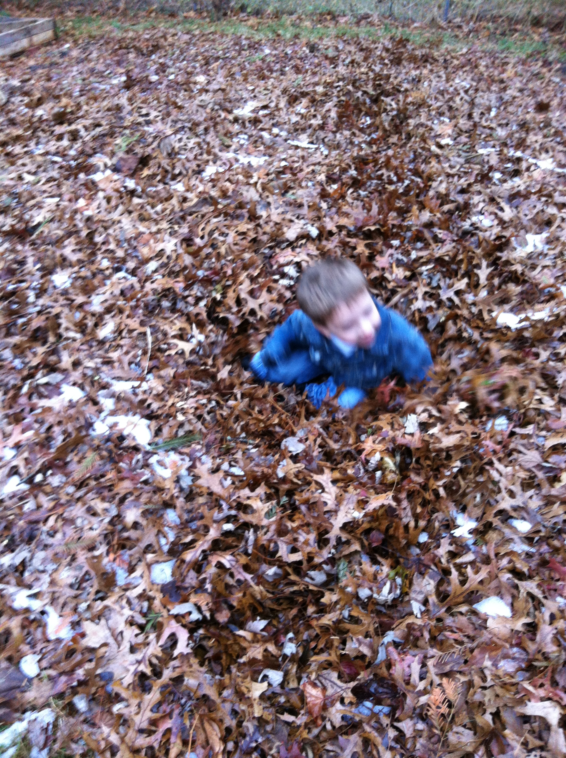 2014-11-27 15.42.23.jpg