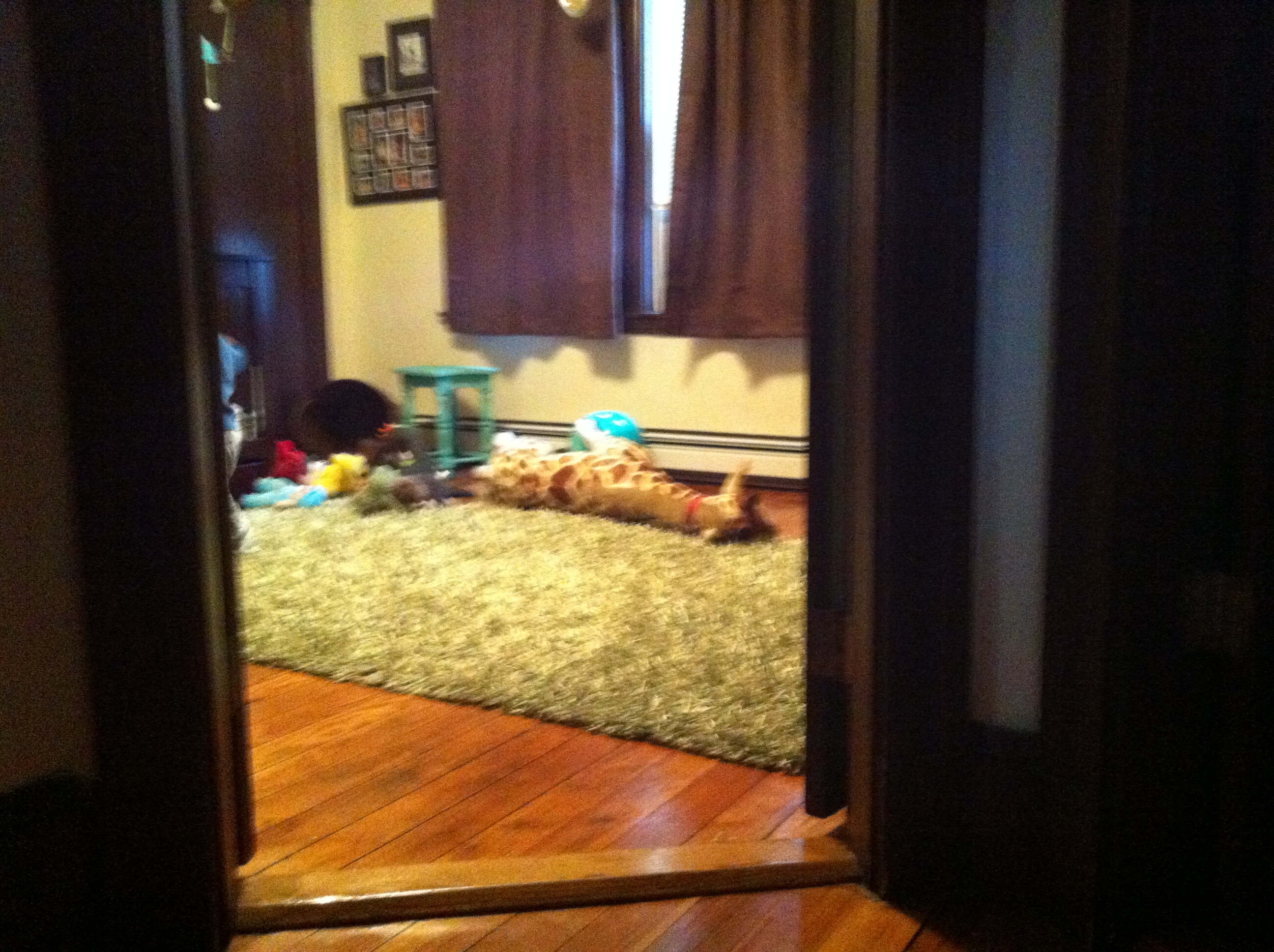 2012-12-22 08.11.52.jpg