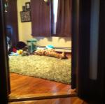 2012-12-22 08.11.52.jpg