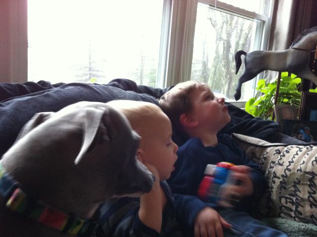 2014-12-24 11.47.44.jpg