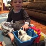 2015-06-02 19.57.25.jpg