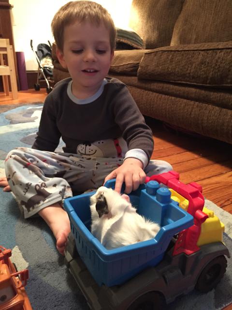 2015-06-02 19.57.25.jpg