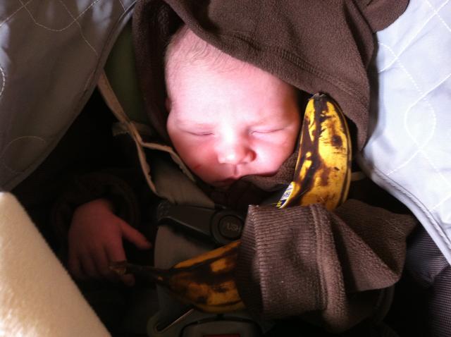 2014-02-01 13.49.15.jpg