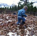 2014-11-27 15.43.11.jpg