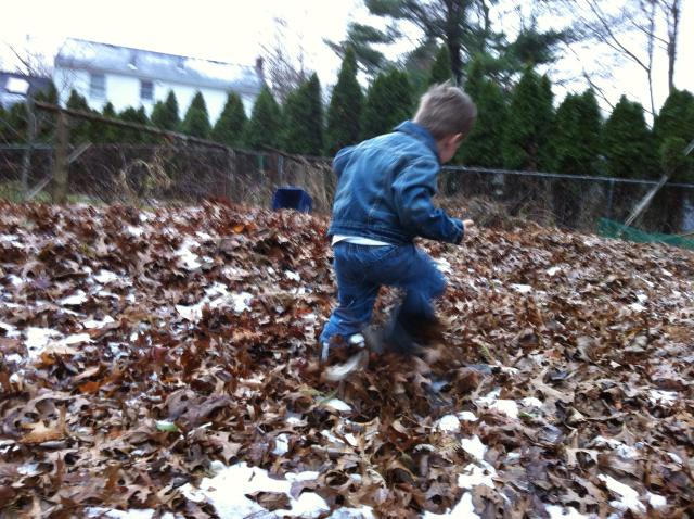 2014-11-27 15.43.11.jpg