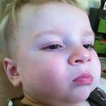 2012-08-06 07.41.56.jpg